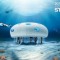 Sony lanceert onderwater pop-up winkel